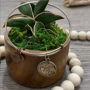 Alex and ani bracelet